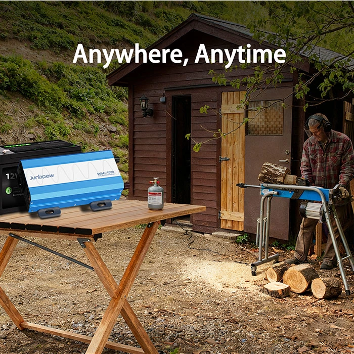 1000W Pure Sine Wave Power Inverter with Built-in UPS